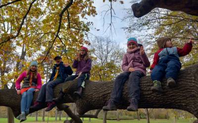 Pfadfindergruppenstunde am 18.11.2023 „Orientierung im Advent“