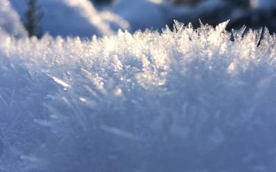 Bilder des Winters