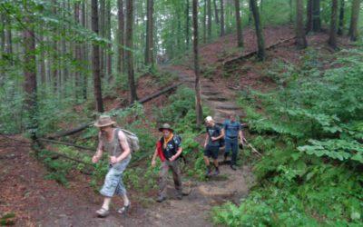 Durch Wälder, Wiesen und Dörfer – Pfadfinder on Tour