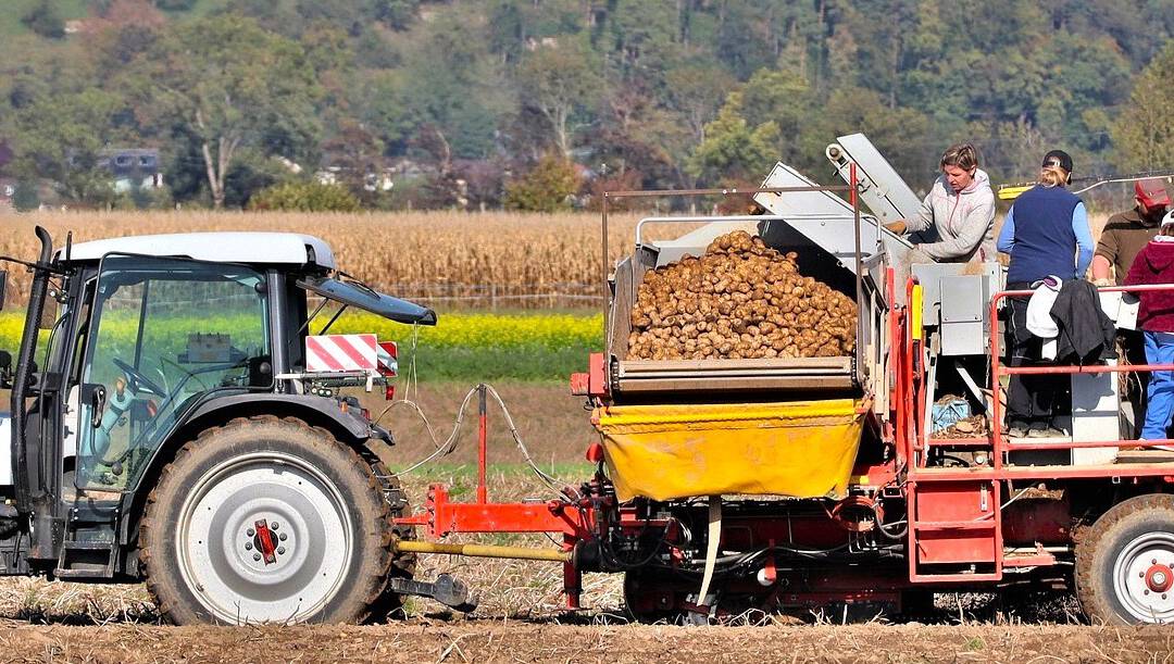 Andacht für Monat Oktober: Ernte. Dank!