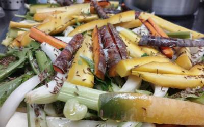 Wenn viele Hunger haben… Im Ofen gebackenes Gemüse