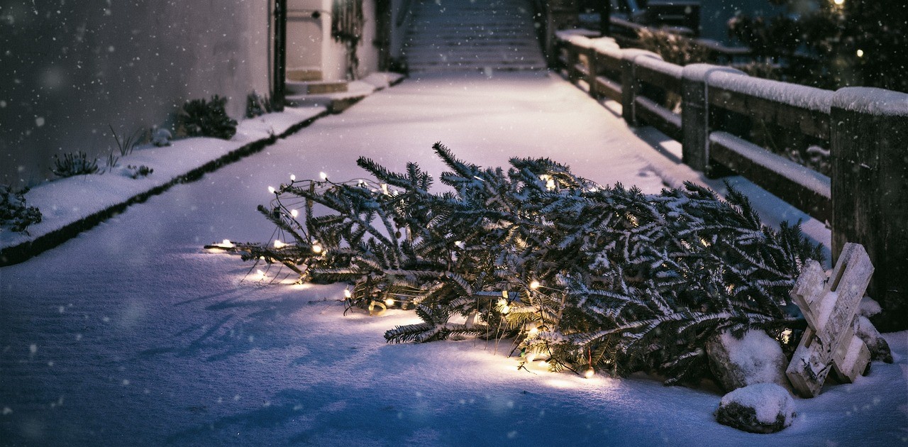 Weihnachtsbaum liegt am Boden